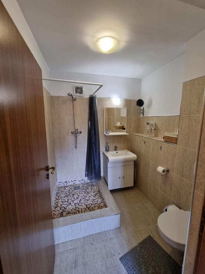 Casa Romana Apartman Ploieşti Kültér fotó